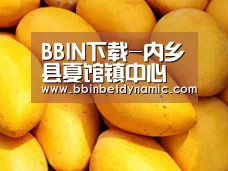 BBIN下载-内乡县夏馆镇中心学校：督导常规找短板互促共学提质量