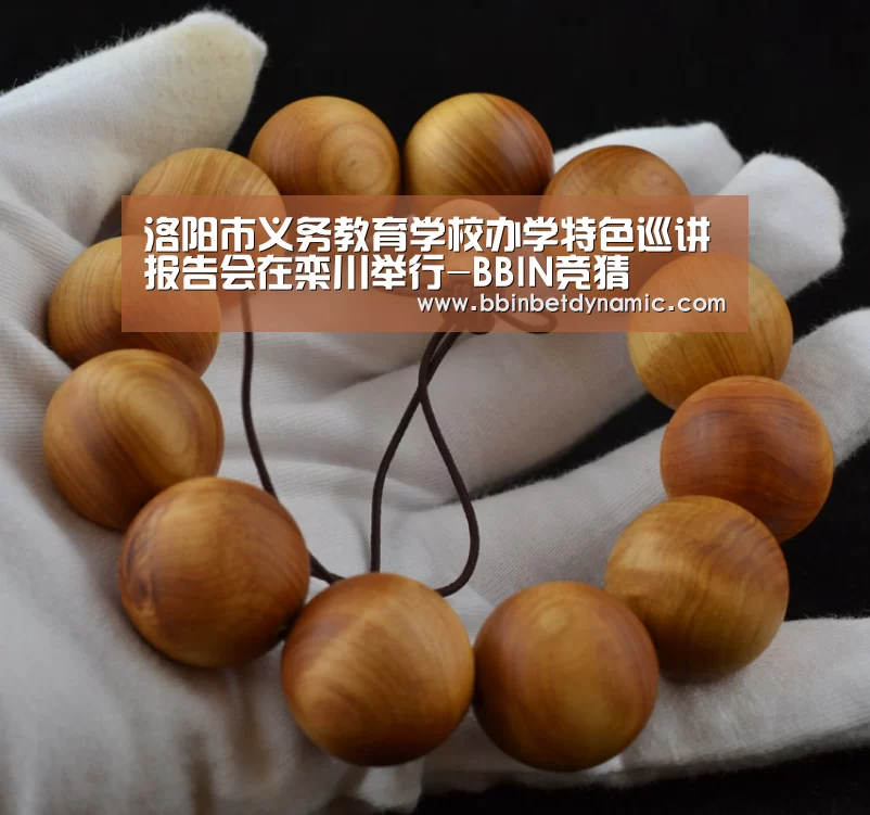 洛阳市义务教育学校办学特色巡讲报告会在栾川举行-BBIN竞猜(图4) BBIN捕鱼