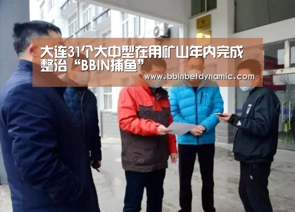 大连31个大中型在用矿山年内完成整治“BBIN捕鱼”