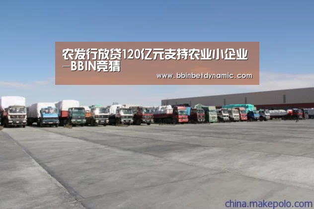 BBIN下载