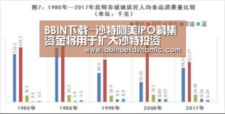 BBIN下载-沙特阿美IPO募集资金将用于扩大沙特投资(图2) BBIN竞猜